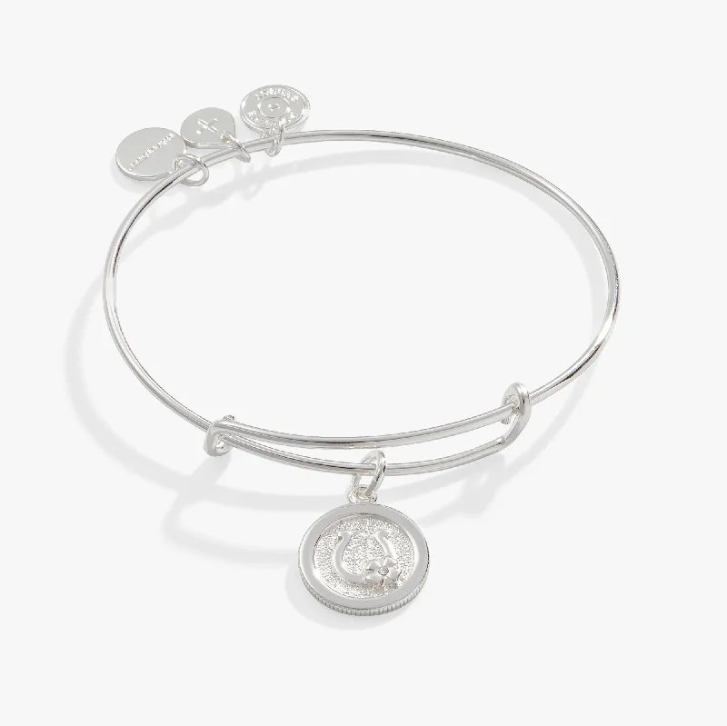 Limited-Time Jewelry Discounts – Shine Without The Splurge Horseshoe + Clover Charm Bangle Bracelet