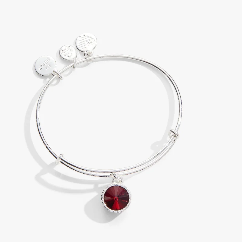 Shop Dazzling Jewelry At The Best Prices January Birthstone Charm Bangle, Scarlet