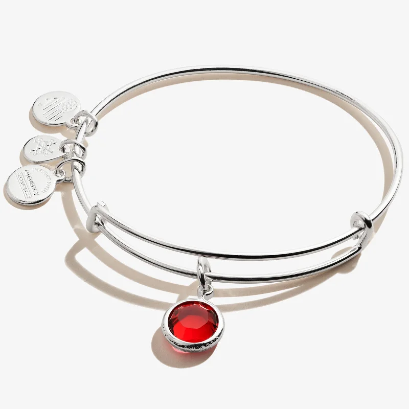 Flash Sale On Stunning Jewelry – Don't Miss Out January Scarlet Birthstone Charm Bangle