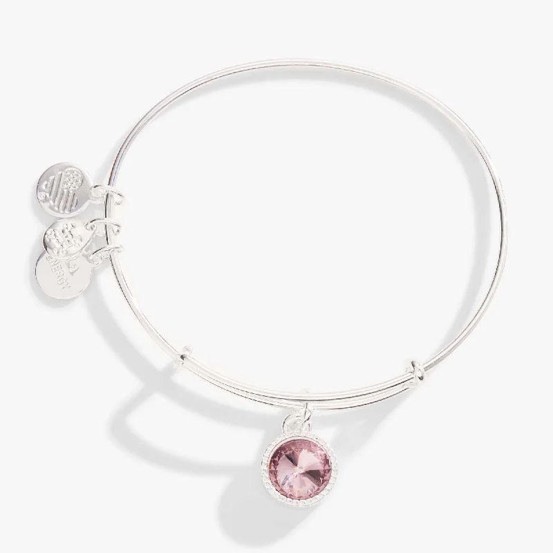 Unmissable Jewelry Sale – Shop Before It's Too Late June Birthstone Charm Bangle, Light Amethyst