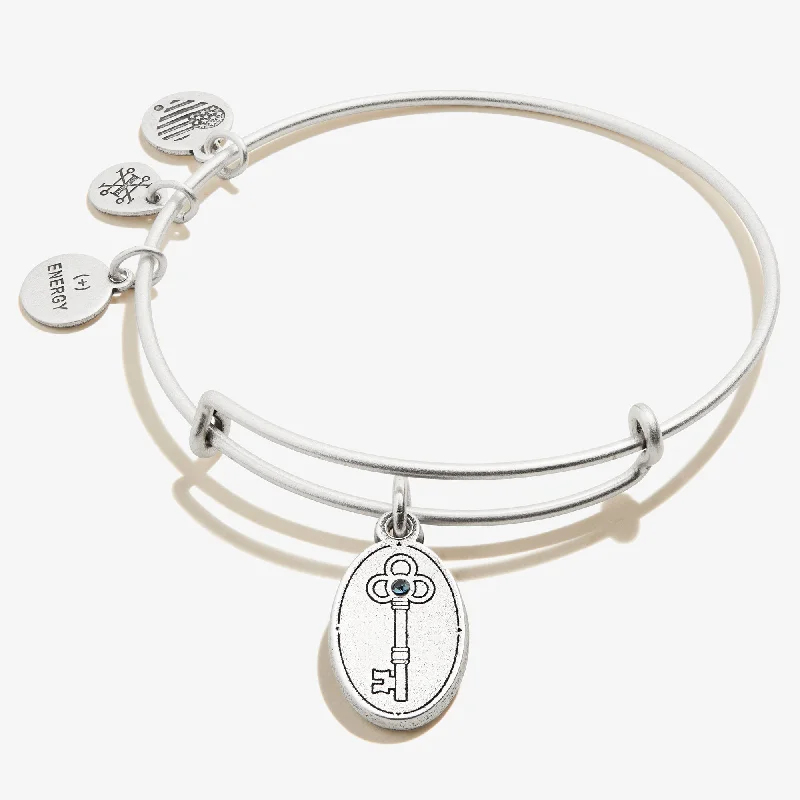 Shop Fine Jewelry With Amazing Deals Key to Wisdom Charm Bangle