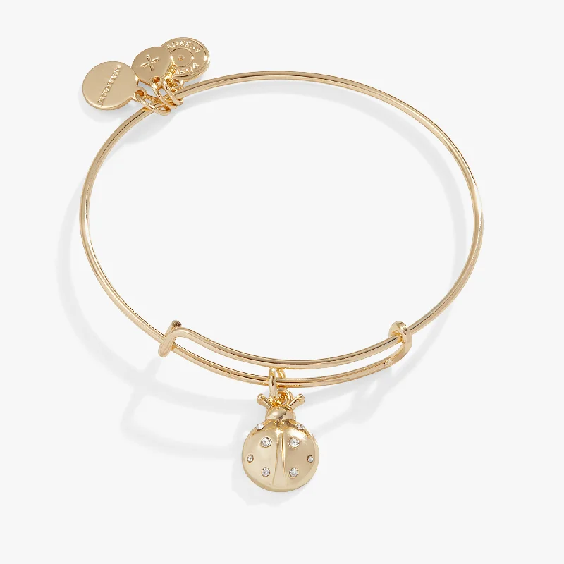 Timeless Elegance, Temporary Discounts – Act Fast Ladybug Charm Bangle Bracelet